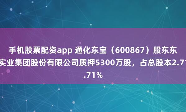 手机股票配资app 通化东宝（600867）股东东宝实业集团股份有限公司质押5300万股，占总股本2.71%