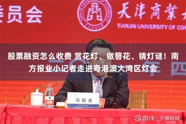 股票融资怎么收费 赏花灯、做簪花、猜灯谜！南方报业小记者走进粤港澳大湾区灯会