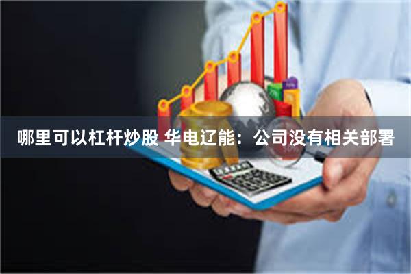 哪里可以杠杆炒股 华电辽能：公司没有相关部署