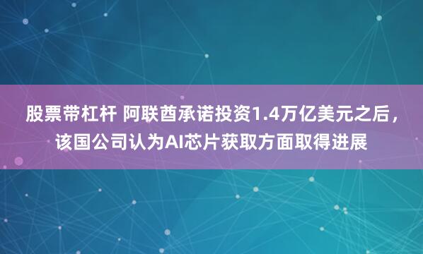 股票带杠杆 阿联酋承诺投资1.4万亿美元之后，该国公司认为AI芯片获取方面取得进展