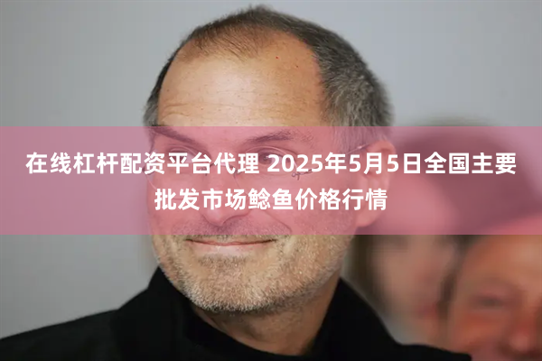 在线杠杆配资平台代理 2025年5月5日全国主要批发市场鲶鱼价格行情