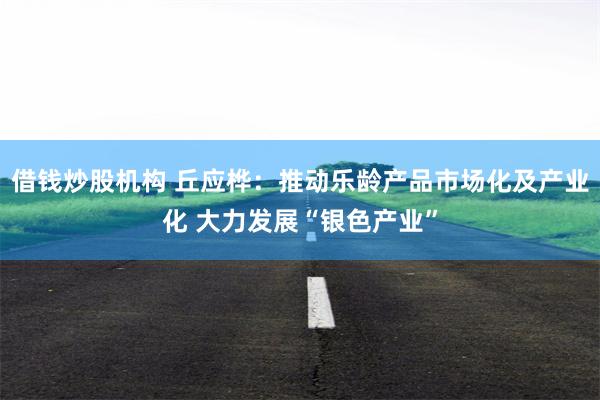 借钱炒股机构 丘应桦：推动乐龄产品市场化及产业化 大力发展“银色产业”