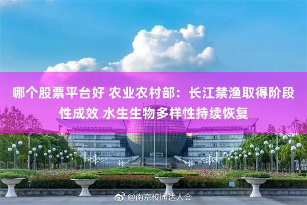 哪个股票平台好 农业农村部：长江禁渔取得阶段性成效 水生生物多样性持续恢复