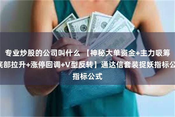 专业炒股的公司叫什么 【神秘大单资金+主力吸筹+底部拉升+涨停回调+V型反转】通达信套装捉妖指标公式