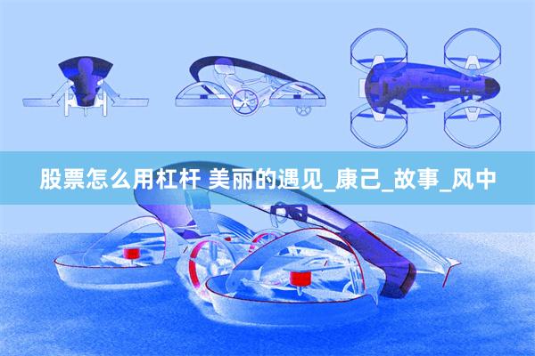 股票怎么用杠杆 美丽的遇见_康己_故事_风中