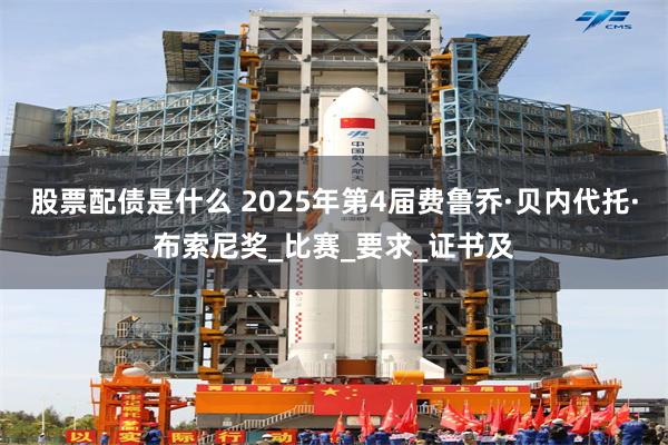 股票配债是什么 2025年第4届费鲁乔·贝内代托·布索尼奖_比赛_要求_证书及