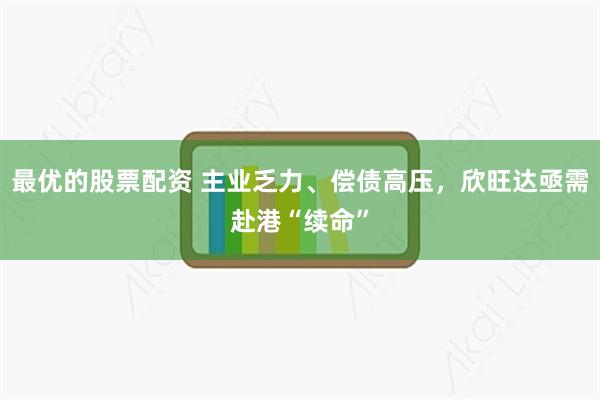 最优的股票配资 主业乏力、偿债高压，欣旺达亟需赴港“续命”