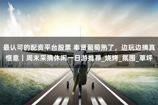 最认可的配资平台股票 奉贤葡萄熟了，边玩边摘真惬意｜周末采摘休闲一日游推荐_烧烤_氛围_草坪