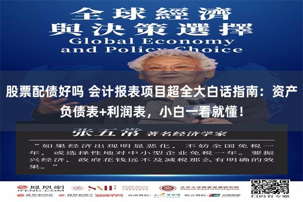 股票配债好吗 会计报表项目超全大白话指南：资产负债表+利润表，小白一看就懂！