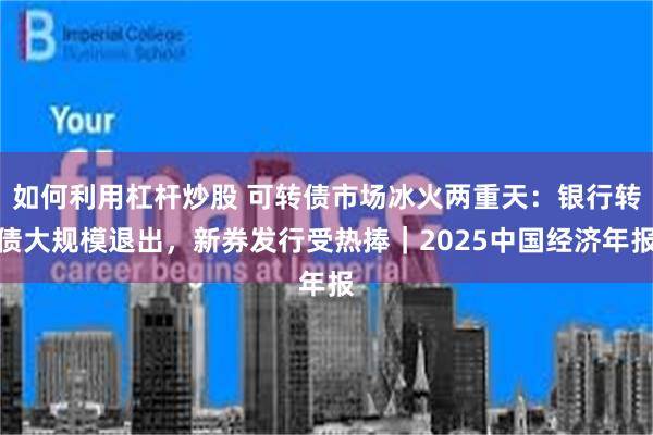 如何利用杠杆炒股 可转债市场冰火两重天：银行转债大规模退出，新券发行受热捧｜2025中国经济年报